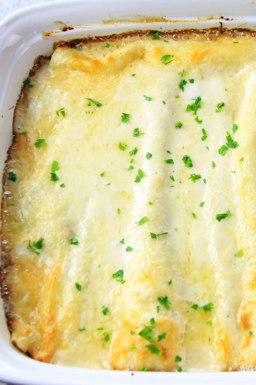 Baked Chicken Cannelloni ready to eat 