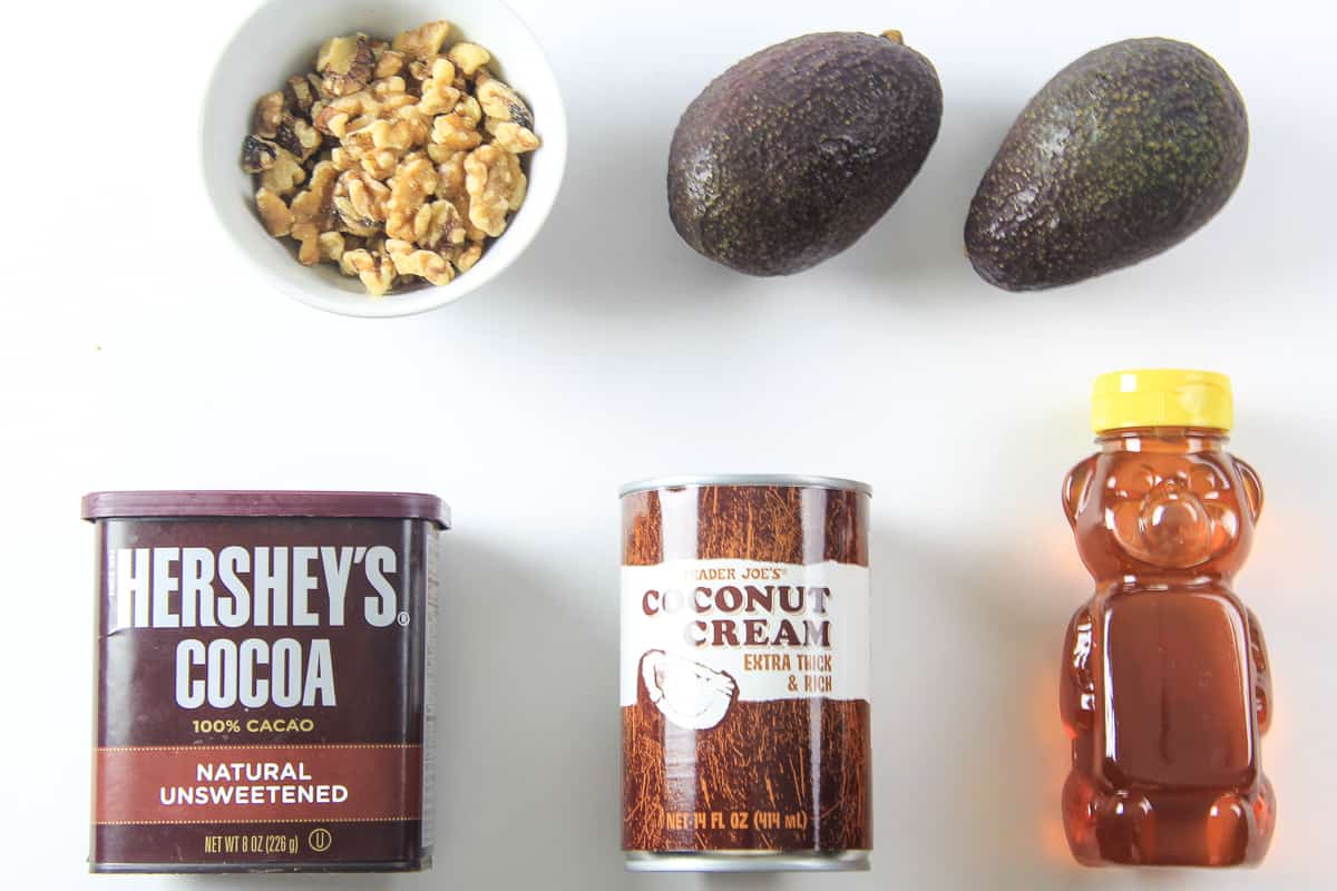 This Paleo Chocolate Pudding is shockingly easy to make and packs smooth creamy chocolate flavor you are looking for while staying Paleo friendly. #paleochocolate #chocolatepudding #healthypudding #paleodessert Ingredients for Paleo Chocolate Pudding laying on a flat white surface