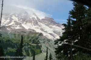 family reunion edited_-15