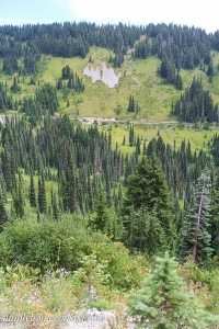 family reunion edited_-16