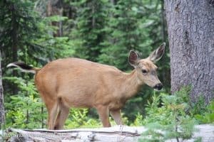 family reunion edited_-25