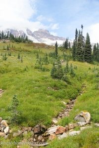 family reunion edited_-26