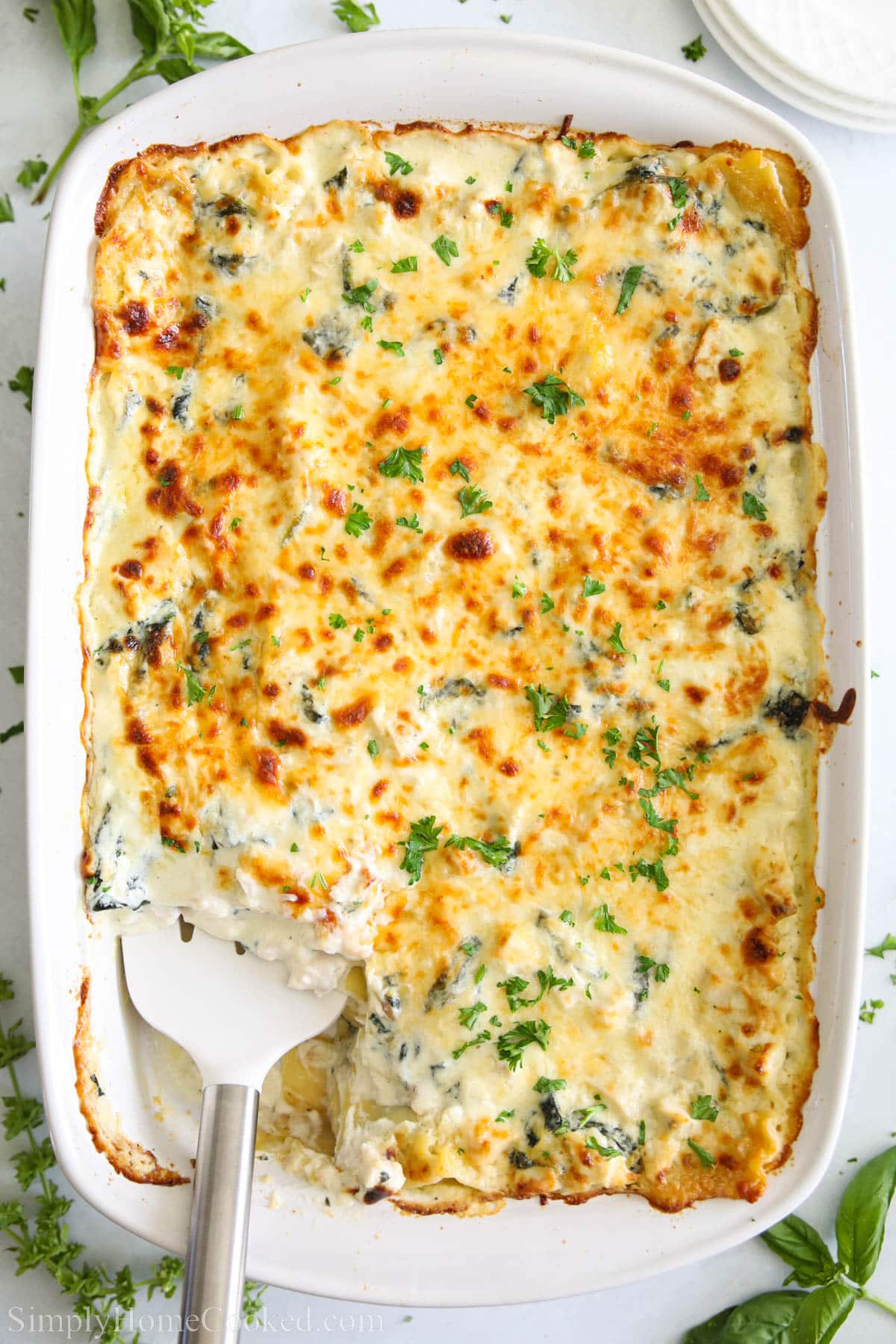 Chicken Alfredo Lasagna in a baking dish with a spatula, missing a piece.