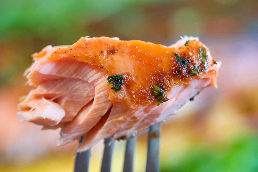 Fork holding a piece of Cedar Plank Salmon