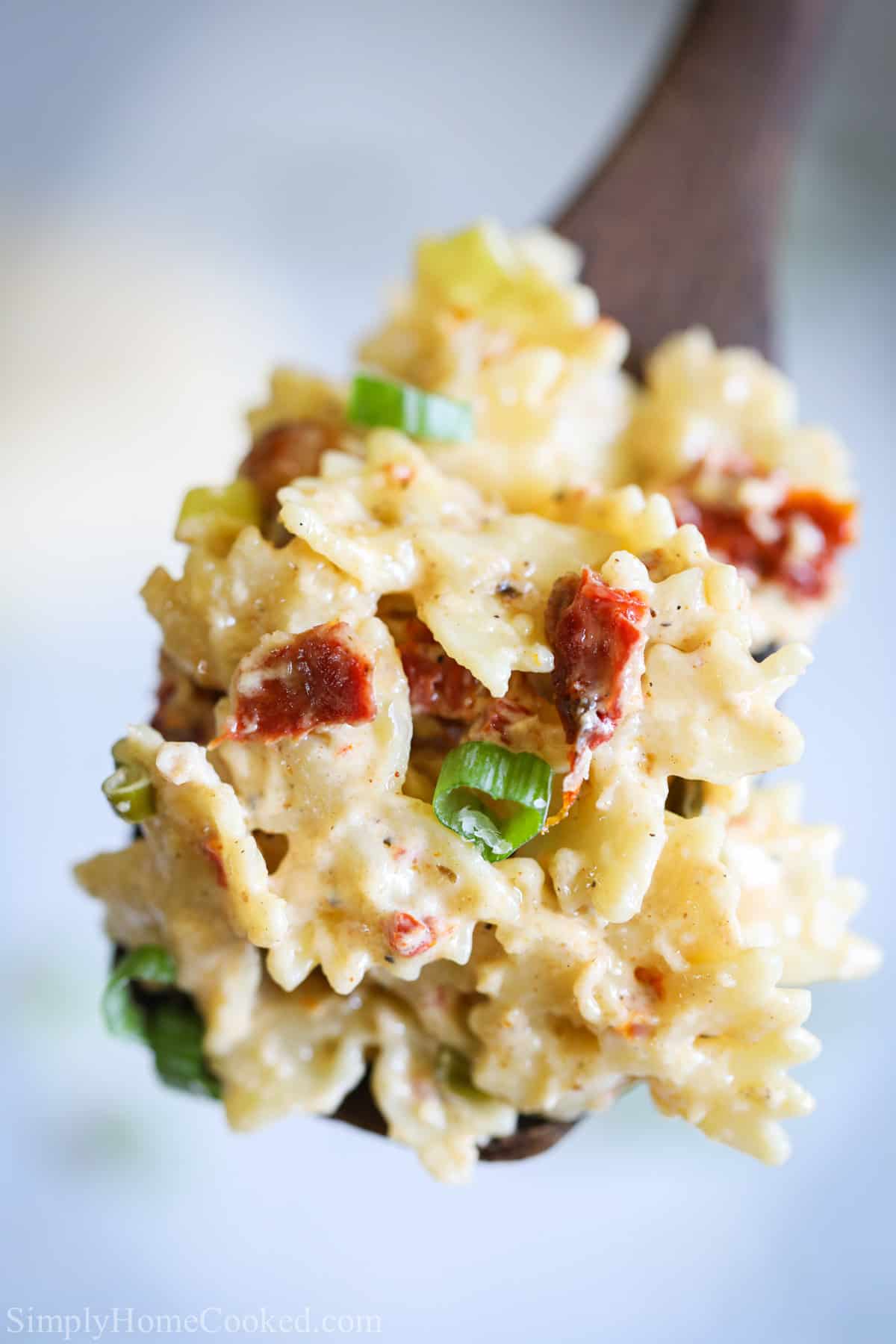 Creamy blackened chicken alfredo recipe with sauteed green onion and sun dried tomatoes. An easy and quick pasta dinner everyone will love! #chickenalfredo #cajunchicken #blackenedchicken #blackenedchickenpasta Close up of a forkful of Blackened Chicken Alfredo