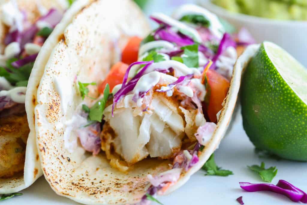 Close up of Fish Taco missing a bite