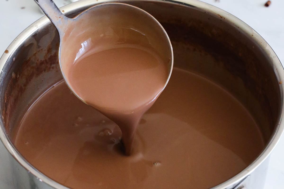 Horizontal image of Hot Chocolate in a pot with a ladle