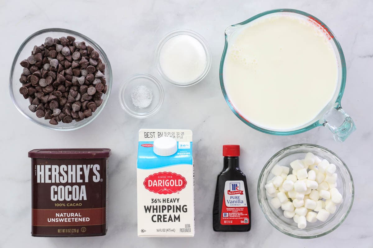 Ingredients for Hot Chocolate, including cocoa, heavy cream, milk, canilla, salt, sugar, chocolate chips, and marshmallows.
