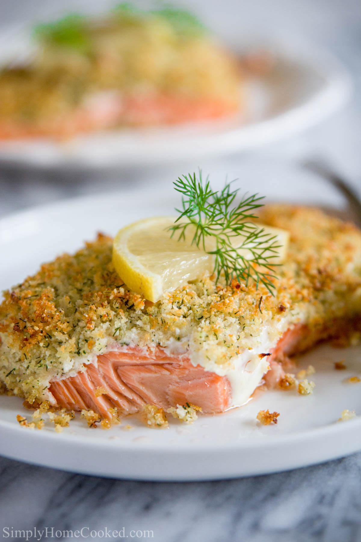 These salmon fillets are smothered in lemony mayonnaise and topped with buttery herbed Panko bread crumbs. #salmonrecipe #easysalmon #quicksalmon #pankosalmon #breadedsalmon Vertical image of a plate of Panko Crusted Salmon topped with dill and lemon