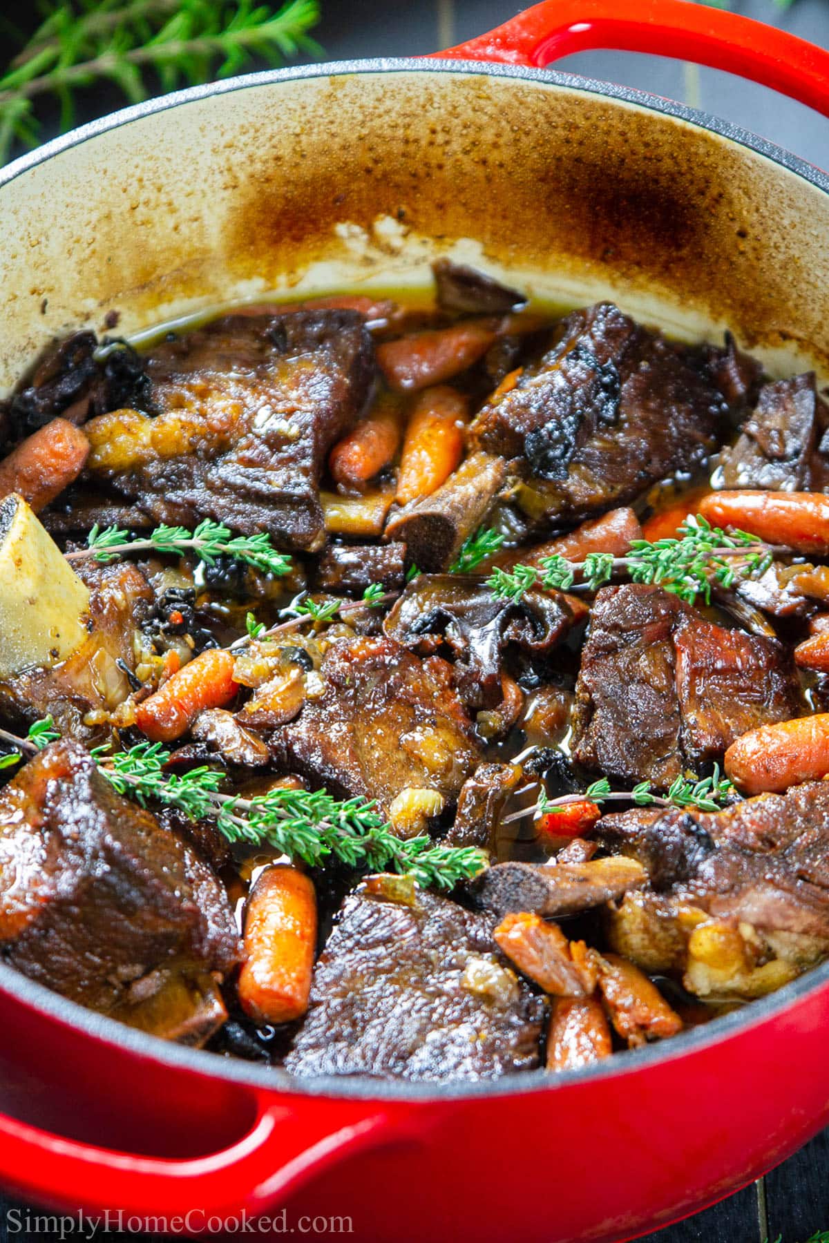 Vertical image of Braised Beef Short Ribs in a crock pot
