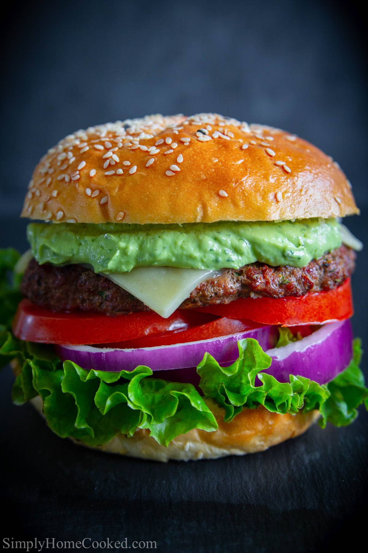These Spicy Chipotle Burgers with Avocado Sauce are a delicious blend of spicy chipotle pepper, creamy avocado, and juicy burger. They are sure to become a family favorite. #spicychipotleburger #burgerrecipe #homemadechipotleburgers #spicyburgerrecipe Spicy Chipotle Burgers with Avocado Sauce with lettuce, tomato, cheese, and onion on a bun.