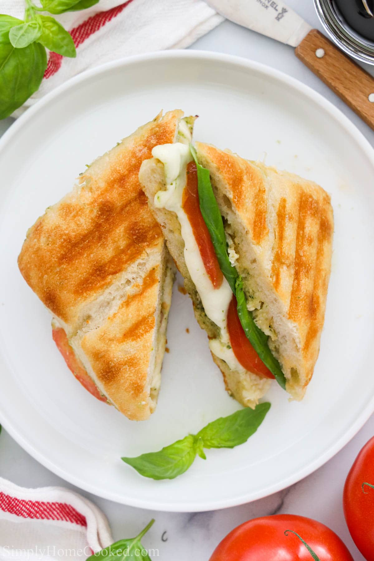 A grilled Caprese sandwich that is full of flavor! This Caprese panini is quick and easy to make and will become your go-to sandwich after your first try. #caprese #capresesandwich #tomatobasil #capresepanini Overhead view of slices of Caprese Sandwich on a white plate with basil.