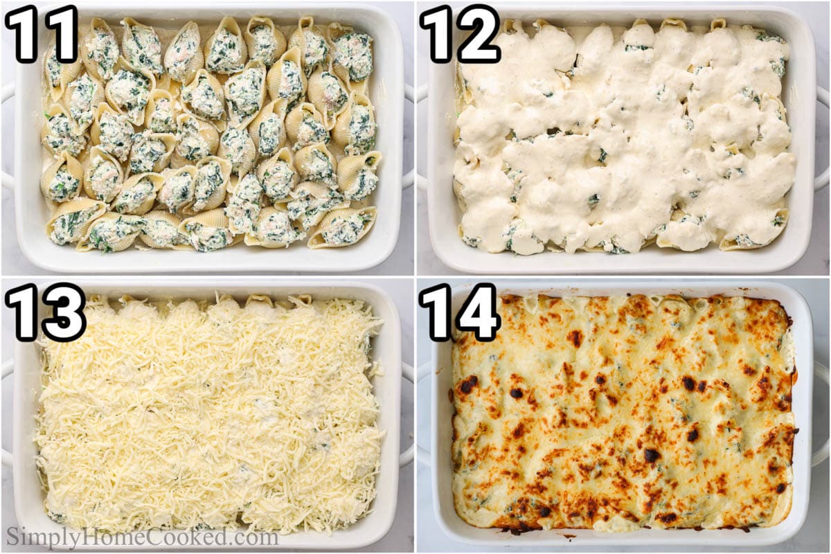 Steps to make Chicken Stuffed Shells: covering the stuffed shells in a baking dish with white sauce and mozzarella cheese, then baking until bubbling and browned.
