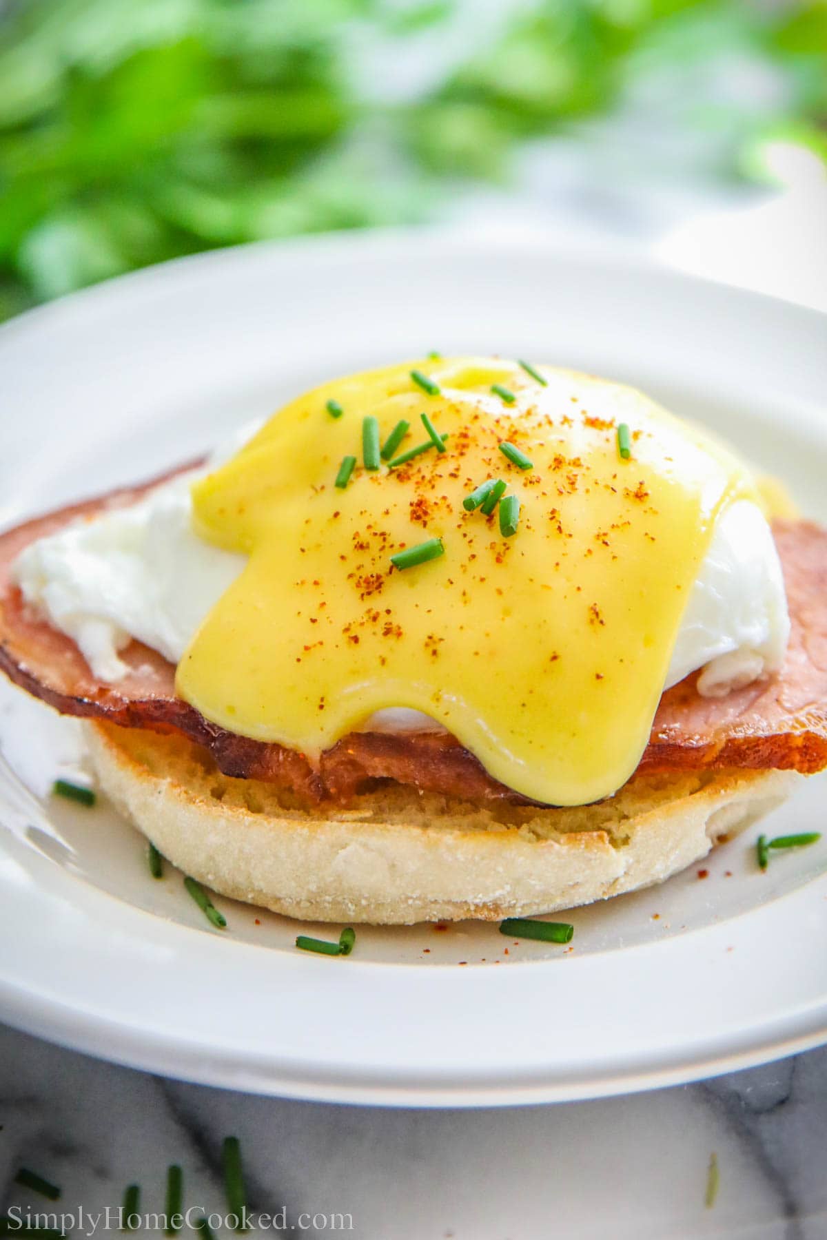 Warm English muffins, crispy Canadian bacon, poached egg, and a rich and creamy Hollandaise sauce are the key elements of a perfect eggs benedict recipe. #eggsbenedict #hollandasiesauce #poachedeggs #breakfastbenedict Eggs Benedict on an English muffin with Canadian bacon and poached egg and hollandaise sauce.