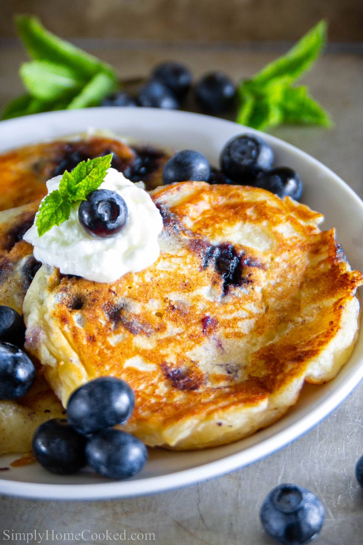 Blueberry Ricotta Pancakes on a plate with blueberries and whipped cream.