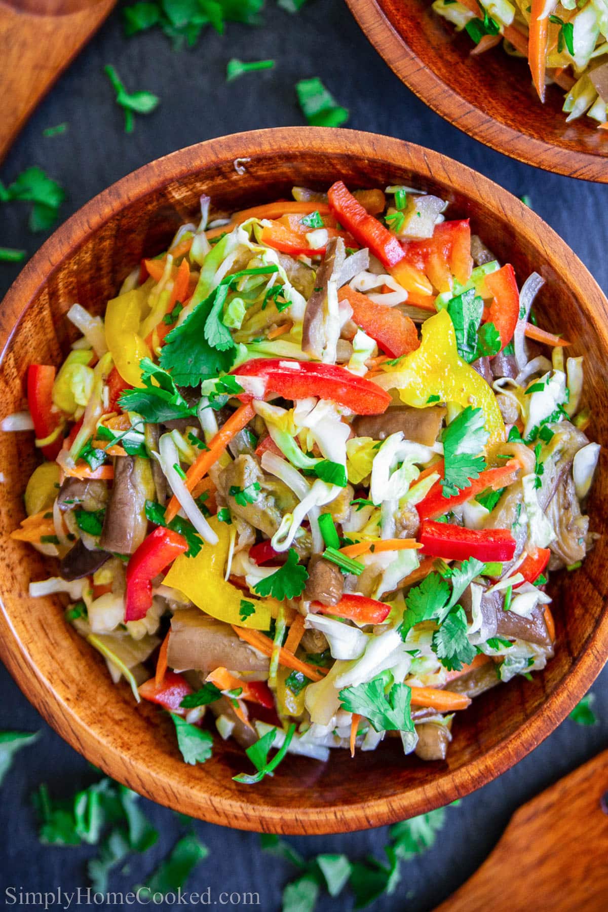 Fresh crips vegetables and baked Chinese eggplants are the perfect companion to the olive oil and vinegar dressing in this slavic salad. #eggplantsalad #bakedeggplant #slavicsalad #weddingsalad Bowl of Roasted Eggplant Salad.
