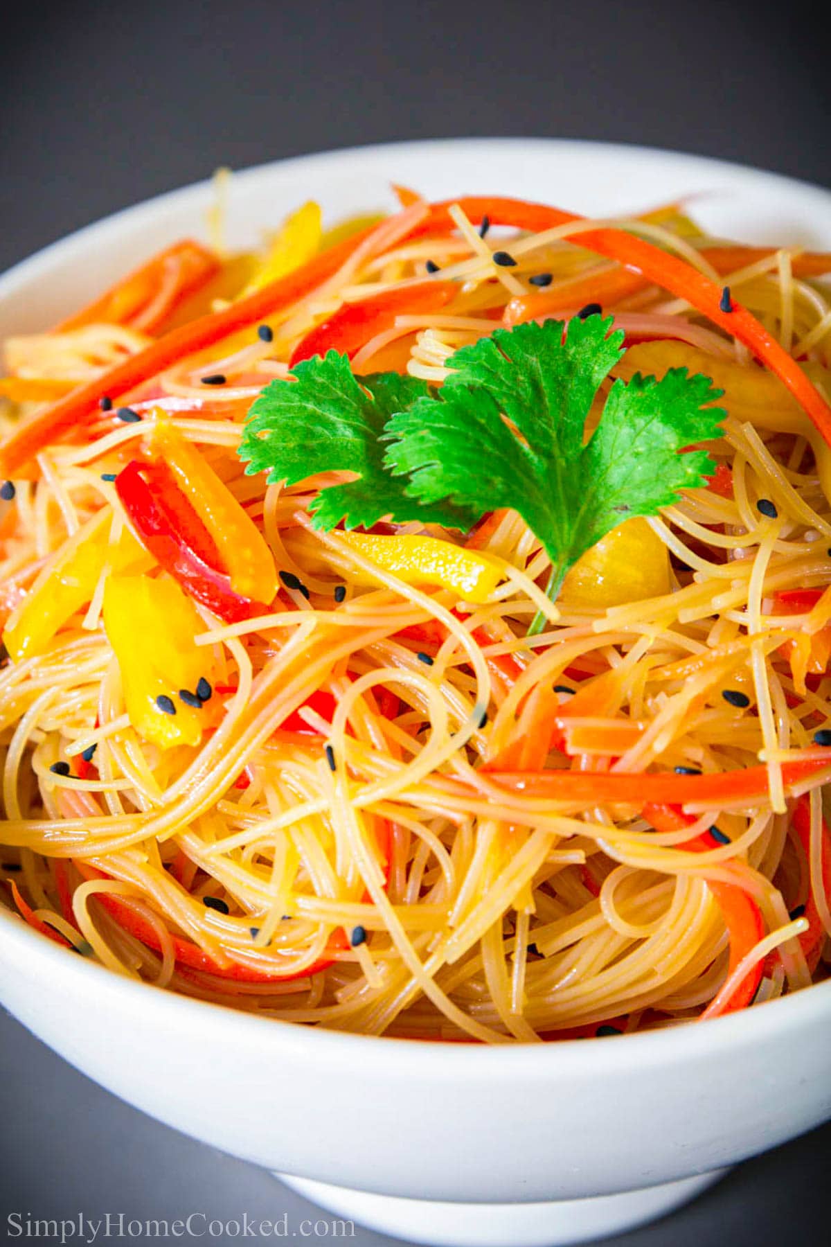 Rice Noodle Salad is a simple refreshing dish chock full of vegetables and rich flavor. Ready in minutes, this bright dish is a perfect side to any meal. #noodlesalad #ricenoodles #funchoza #asiannoodlesalad #peppersalad Sesame Noodle Salad in a bowl.