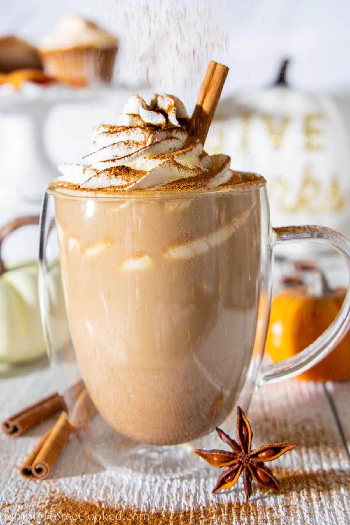 This pumpkin spice latte recipe is made with real pumpkin puree, a blend of pumpkin pie spices, and white chocolate powder. Its undoubtedly the BEST! #pumpkinspice #pumpkinspicelatte #latterecipe #pumpkinlatte #falldrink Pumpkin Spice Latte topped with whipped cream and being sprinkled with pumpkin pie spices.
