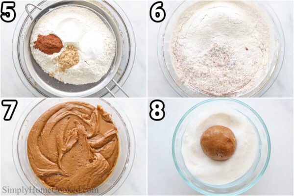 Steps to make Ginger Molasses Cookies: sift in the flour, baking soda, salt, ginger, and cinnamon, then chill the dough. Later, scoop the dough out, roll it in a ball, and cover it with sugar.