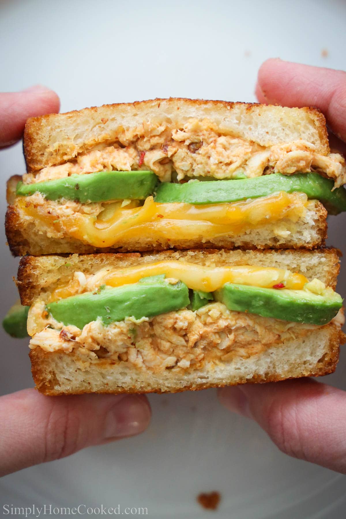 Close up of Chipotle Chicken Avocado Melt.