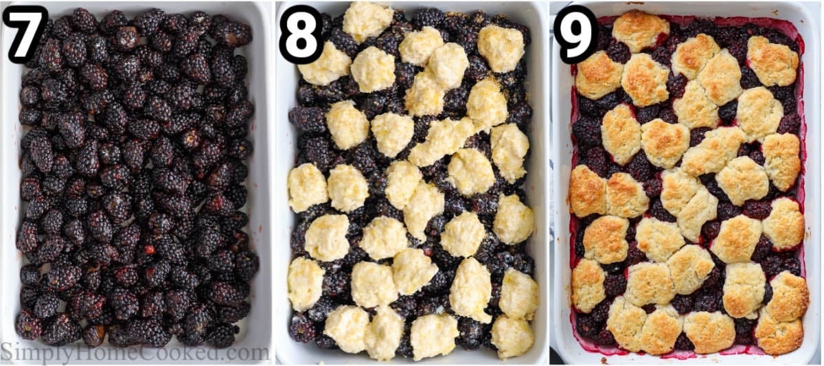 Steps to make Blackberry Cobbler: add the blackberries tot he baking dish then top with cobbler dough and bake.