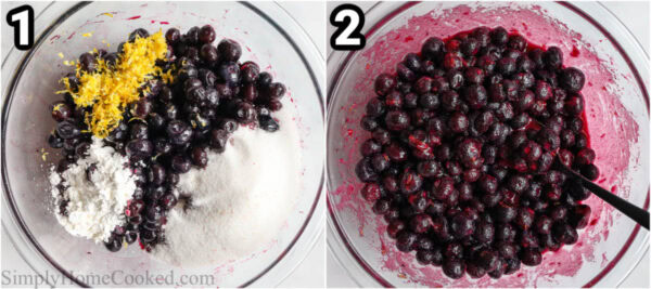 Steps to make a Blueberry Crisp: mix the blueberries, lemon juice, lemon zest, sugar, and cornstarch together with a spoon in a bowl.