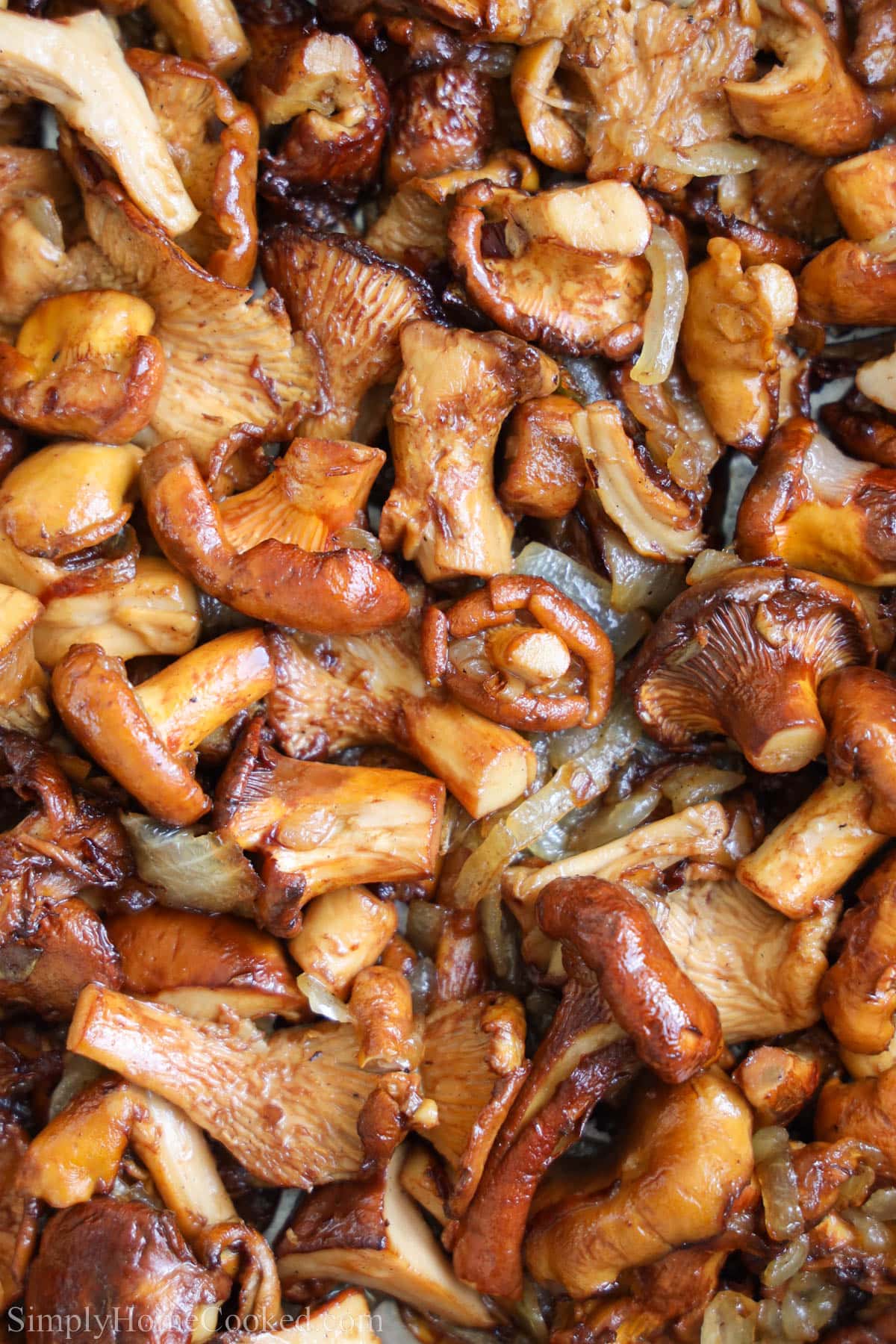 Close up of Sauteed Chanterelle Mushrooms.