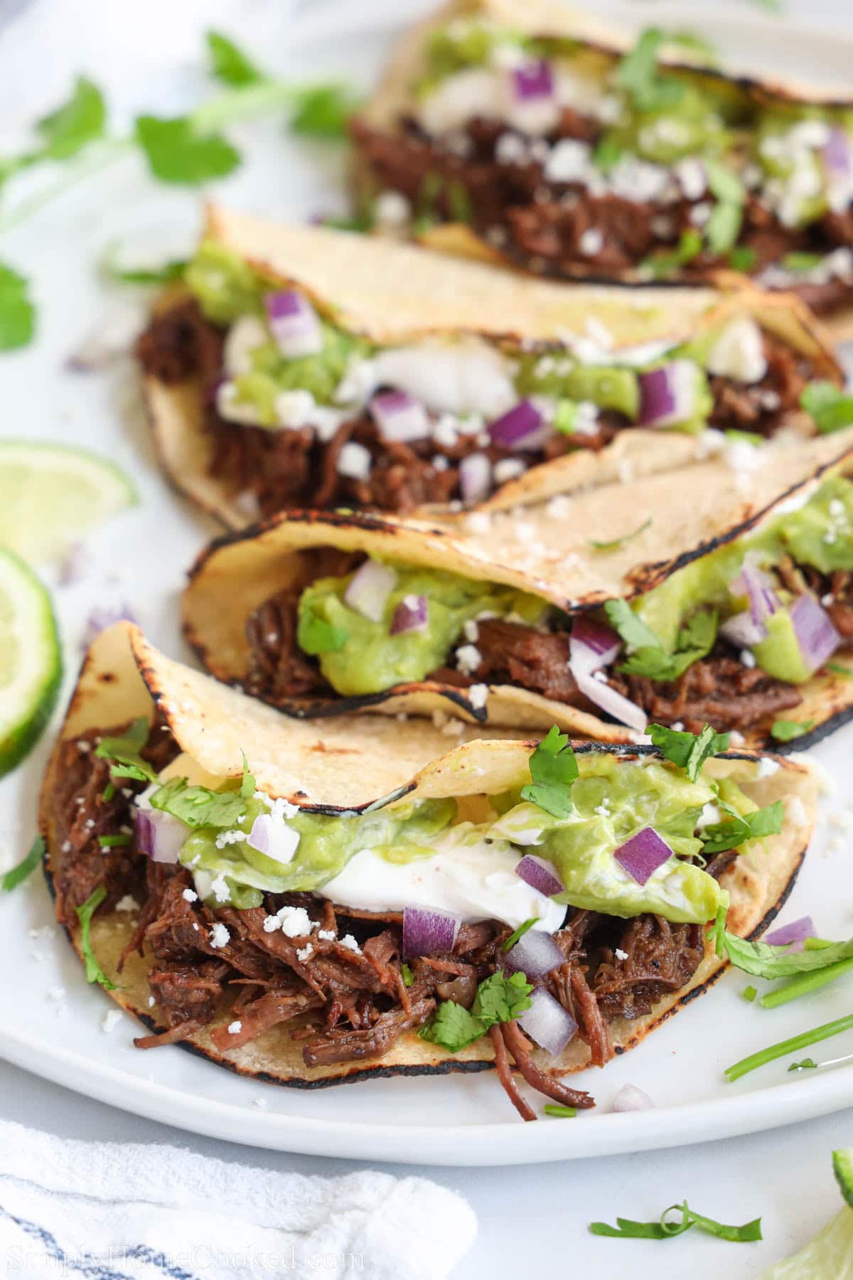 Close up of Shredded Beef Tacos.