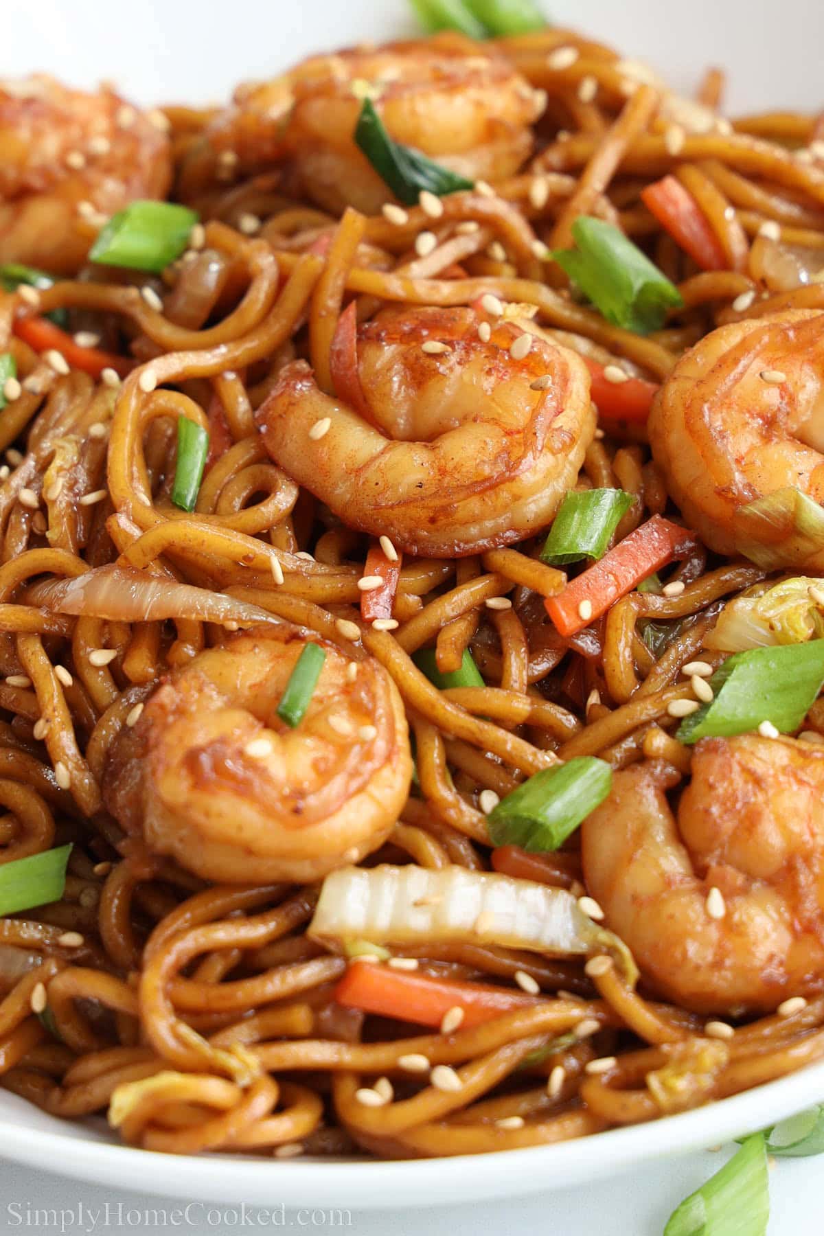 Close up of Shrimp Lo Mein.